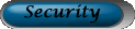 Security Policy